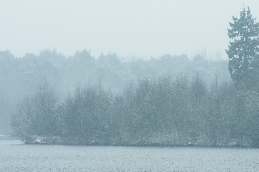 Schneefall am Haubachsee
