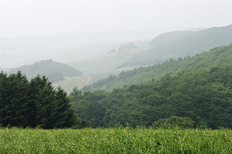 Hügellandschaft im Hunsrück
