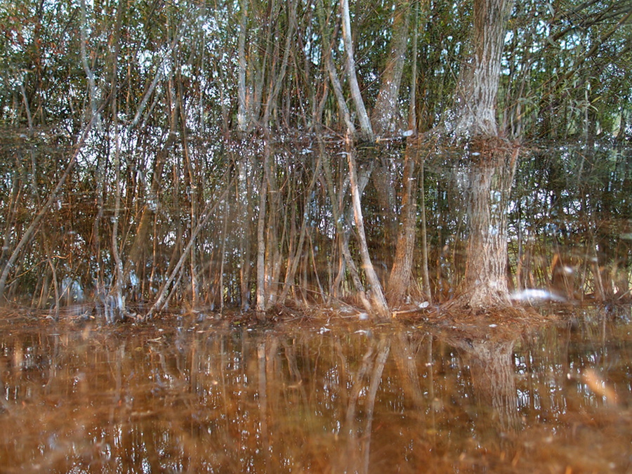 Inselufer, doppelt belichtet