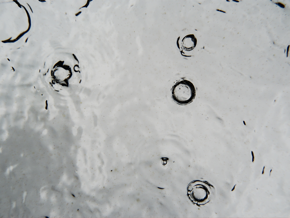 Regen aus der Fischperspektive