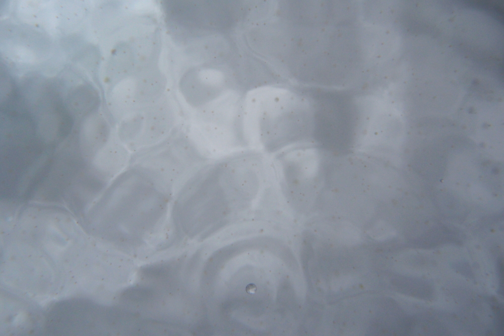 Regen aus der Fischperspektive (2)