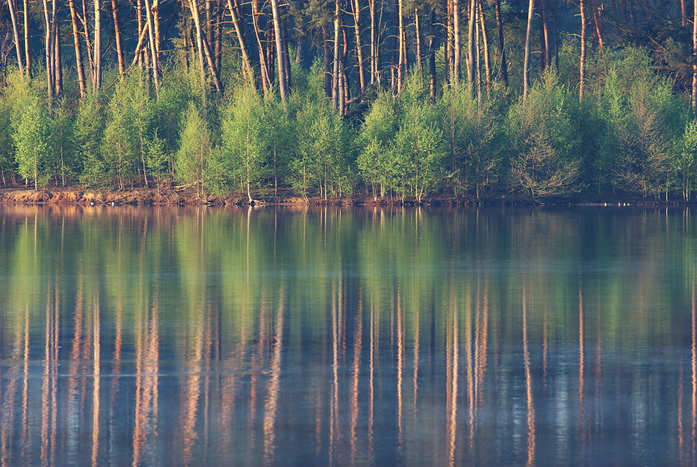 Haubachsee im Frühling