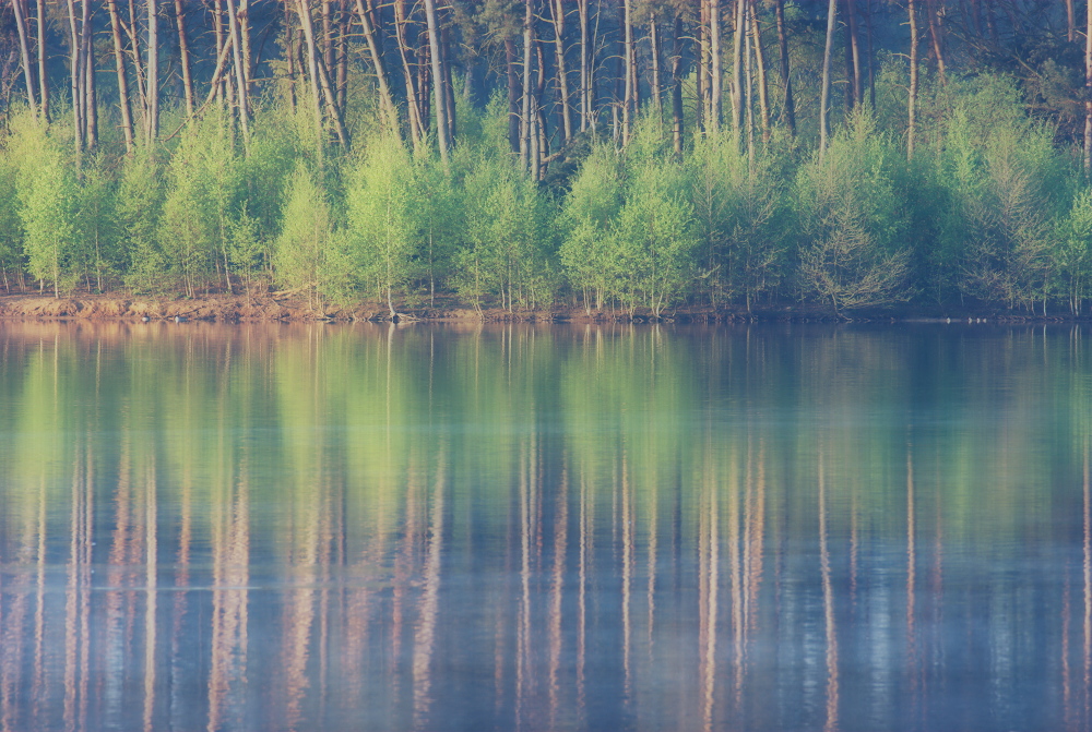 Haubachsee im Frühling (Orton)