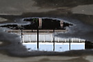 Spiegelung in Pfütze