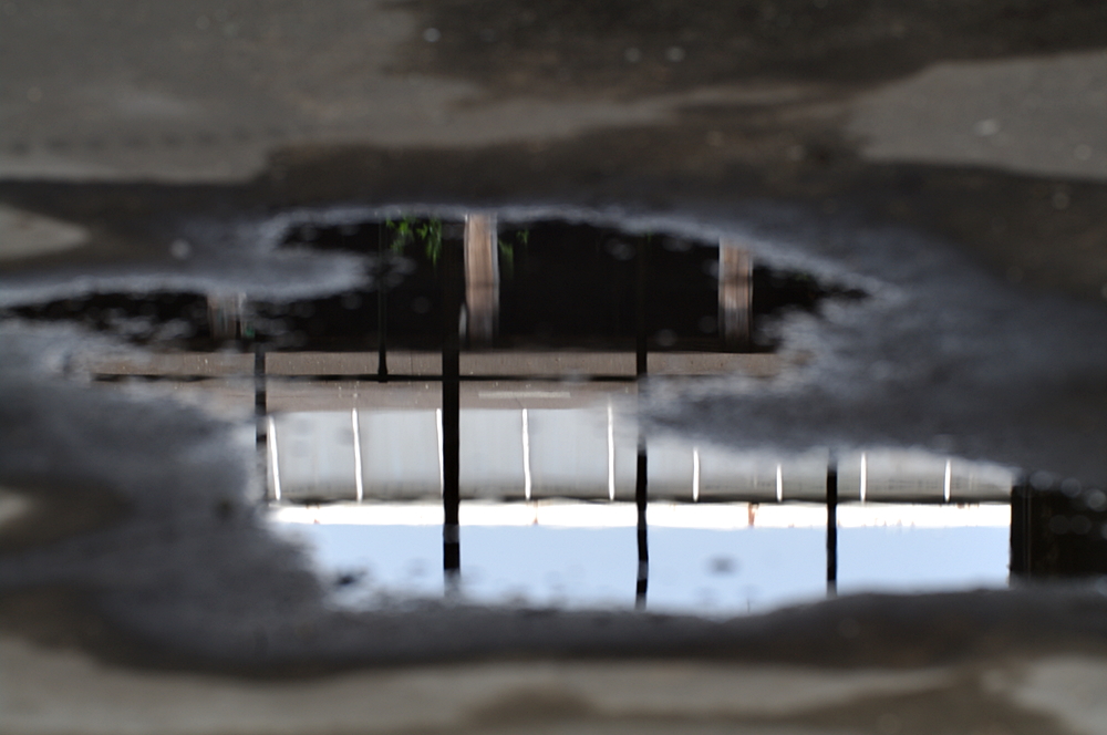 Spiegelung in Pfütze