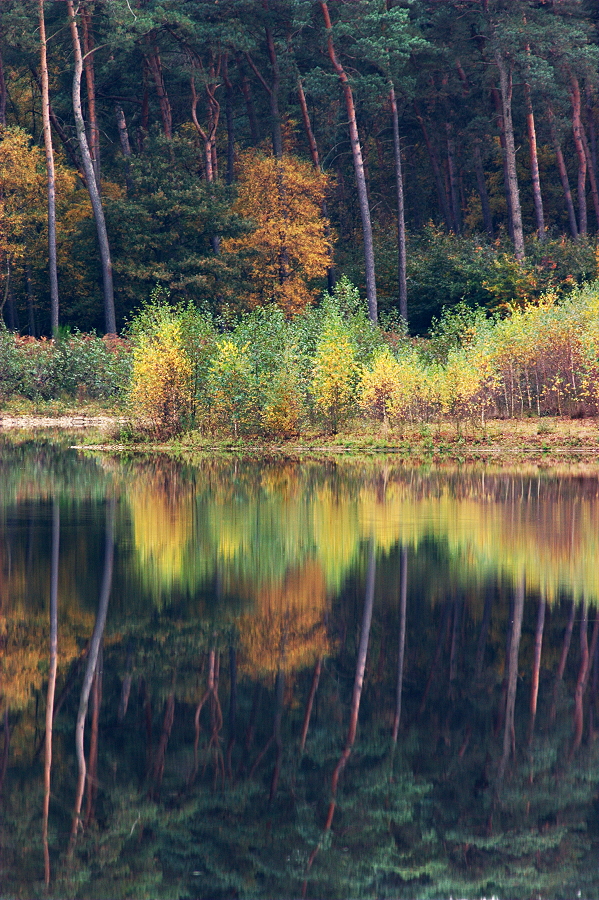 Haubachsee im Herbst