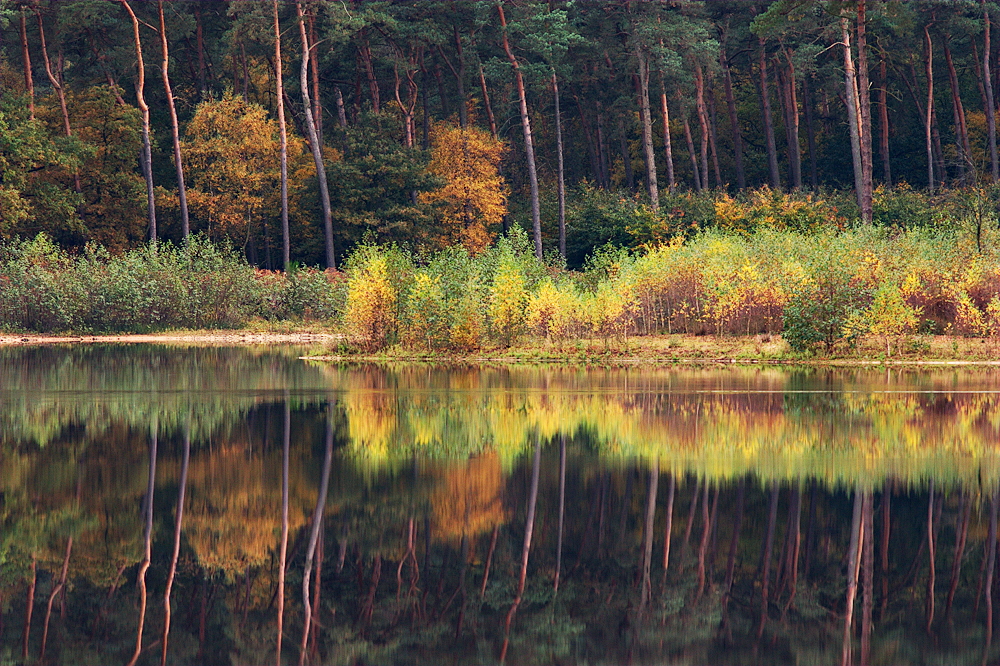 Haubachsee im Herbst