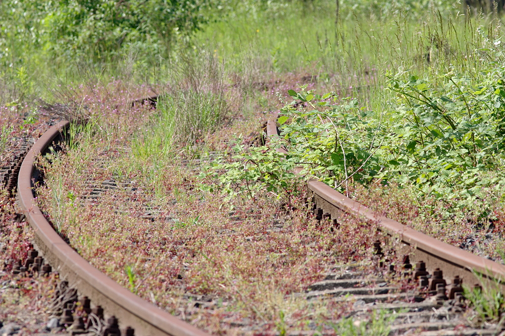 Überwucherte Schienen