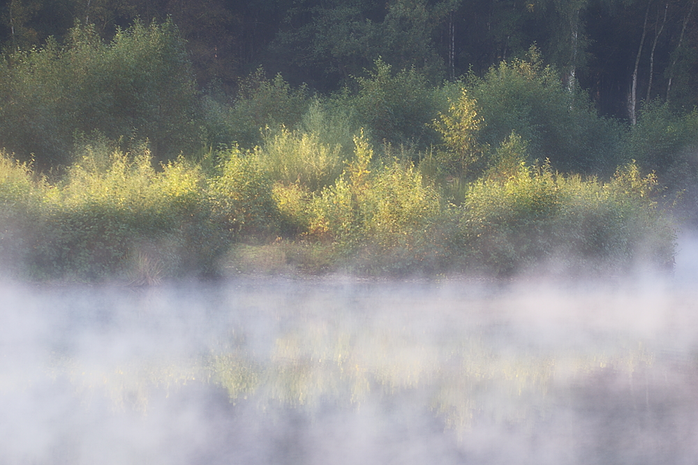 Morgennebel am Haubachsee (Orton)