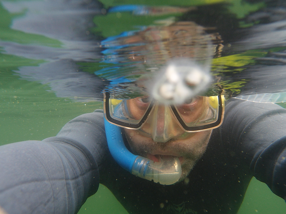 Selbstportrait mit Qualle