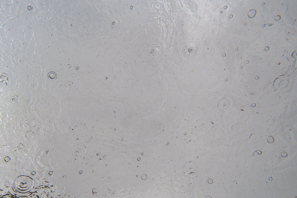 Regen aus der Fischperspektive (3)
