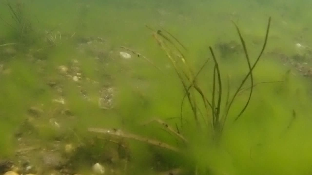 Dies ist kein Sturm (2)