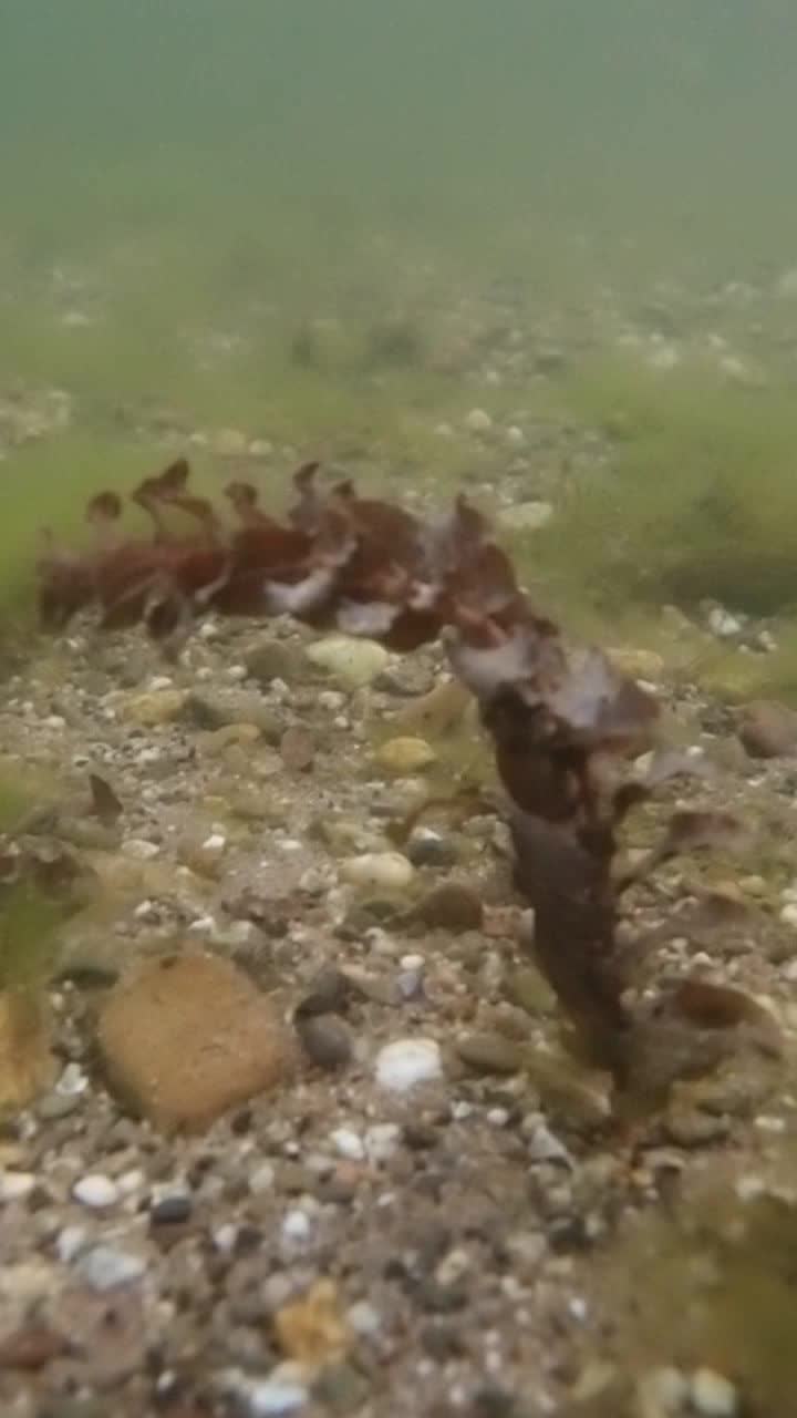 Dies ist kein Sturm (3)