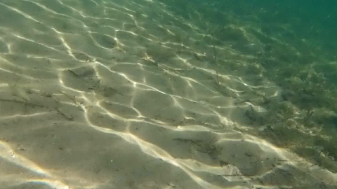 Lichtspiel / Wellenspiel