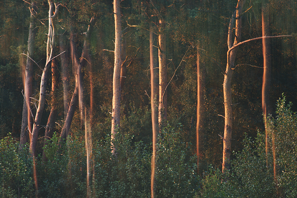 Haubachsee, Doppelbelichtung