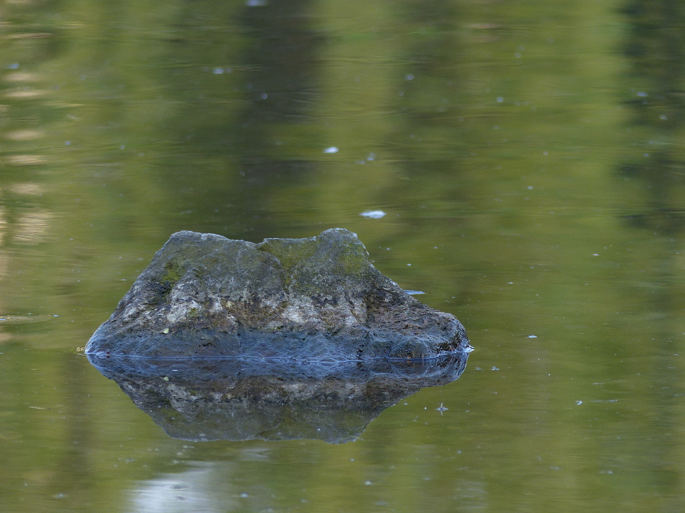 Stein im Wasser