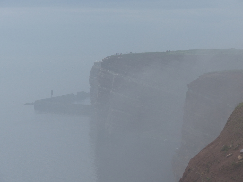 Vogelfelsen im Dunst