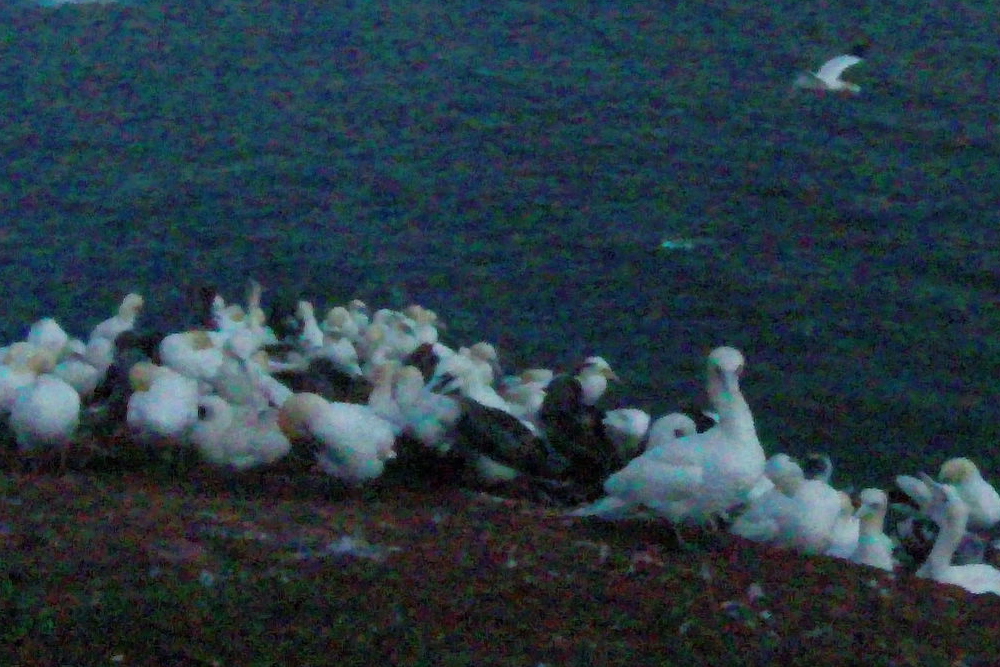 GoPro ISO 5018 (100%-Ausschnitt)