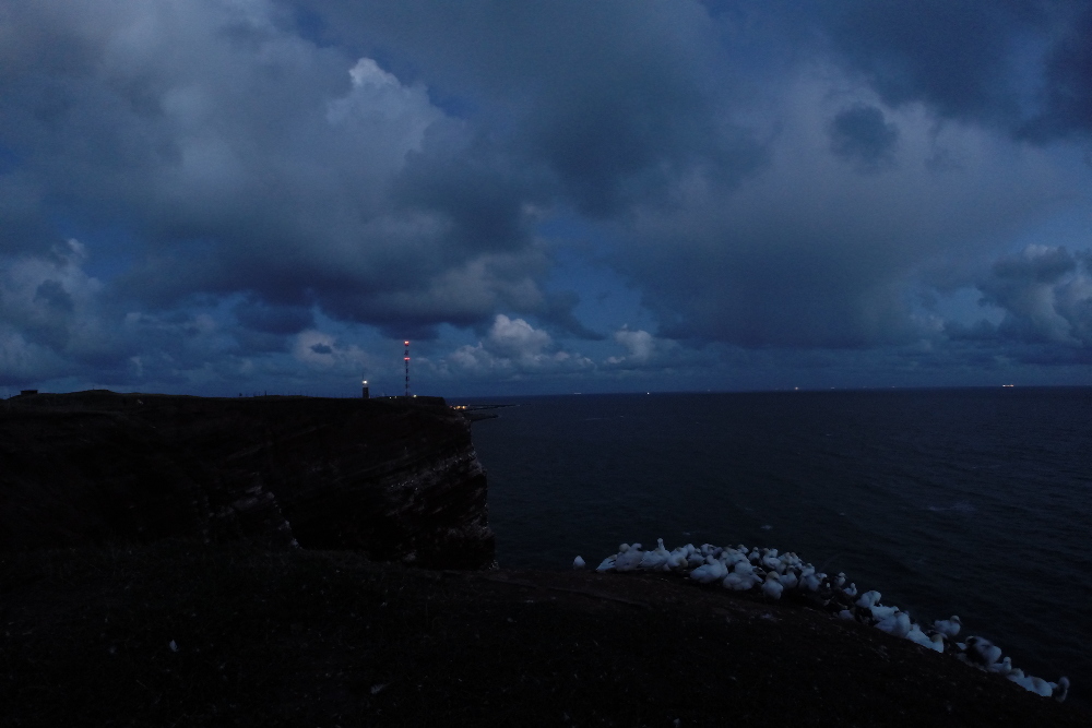 Vogelfelsen und Oberland bei Nacht