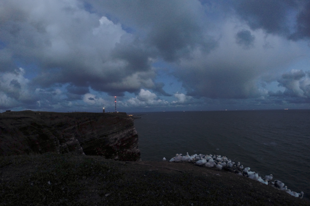 Vogelfelsen und Oberland bei Nacht