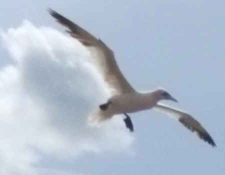 Korrigiertes und verkleinertes RAW.