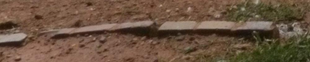 Korrigiertes und verkleinertes RAW.