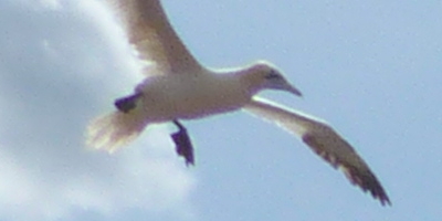 JPEG aus der Kamera, nur verkleinert.