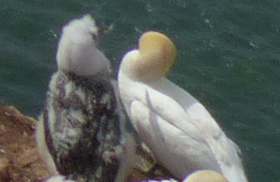 JPEG aus der Kamera, nur verkleinert.