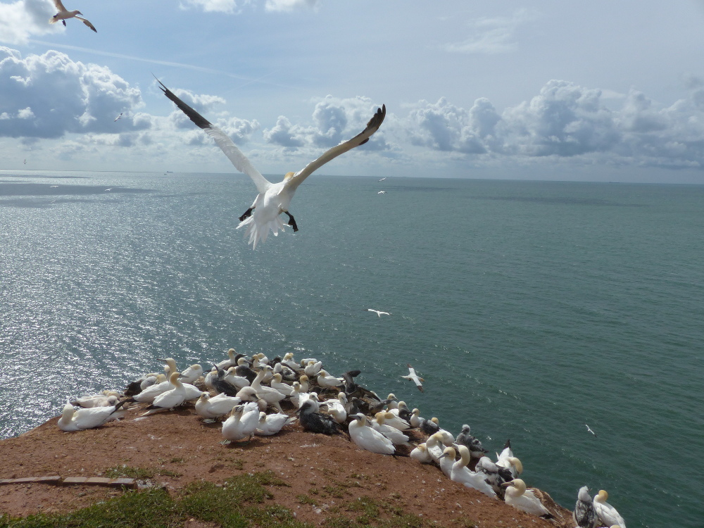 JPEG aus der Kamera, nur verkleinert.