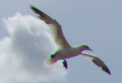 unbearbeitetes RAW, nur verkleinert.