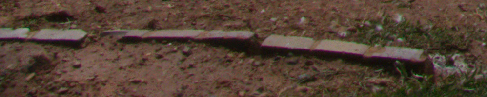 unbearbeitetes RAW, nur verkleinert.