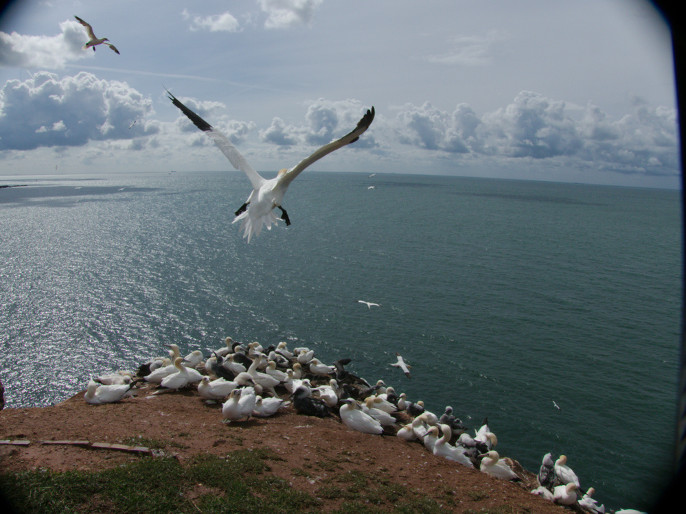 unbearbeitetes RAW, nur verkleinert.