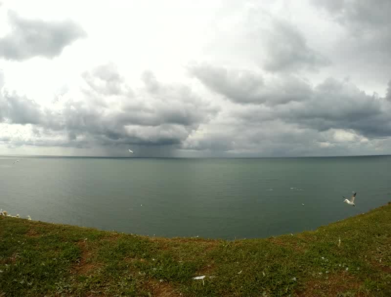 Zeitraffer: Basstölpel vor Wolkenfront