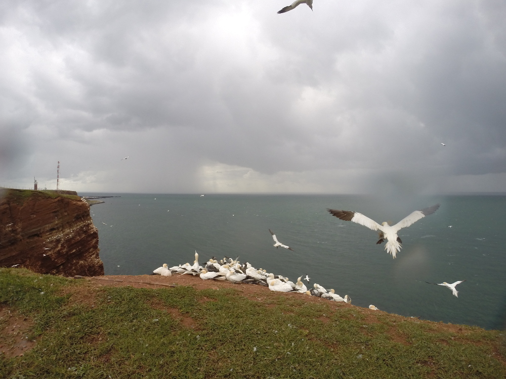 Regentropfen auf der Frontlinse