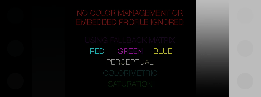 webp-Darstellungsfehler