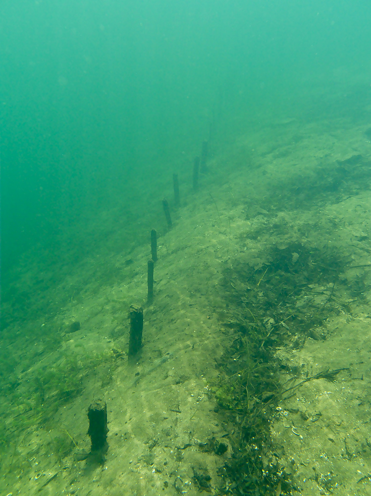 Keine schlechte Sicht