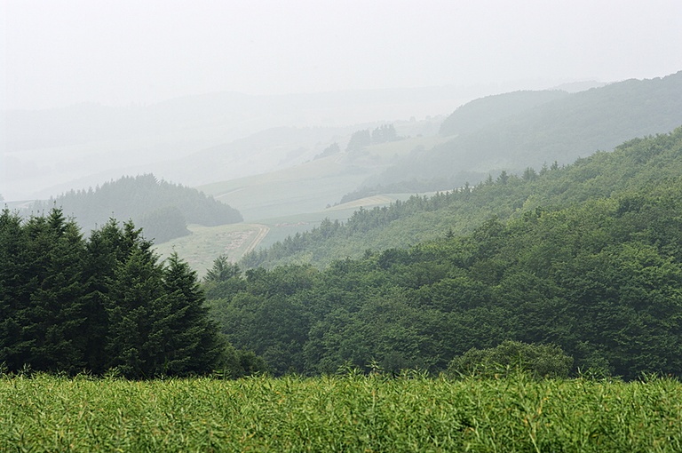 Hügellandschaft im Hunsrück