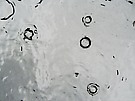 Regen aus der Fischperspektive