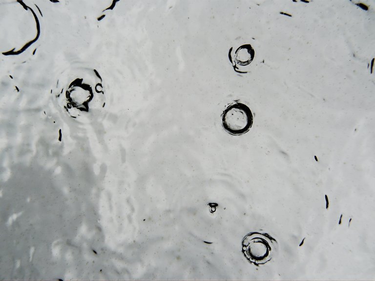 Regen aus der Fischperspektive