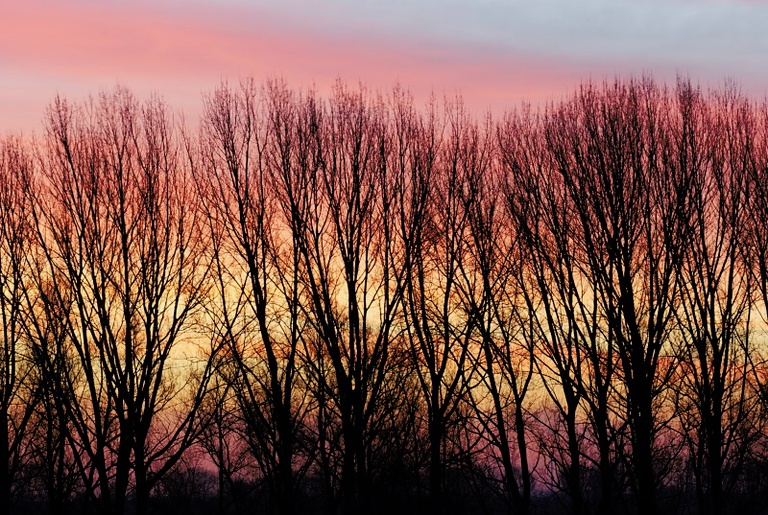 Sonnenaufgang an der Bislicher Insel