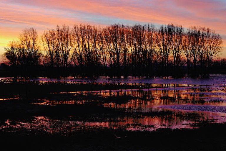 Sonnenaufgang an der Bislicher Insel