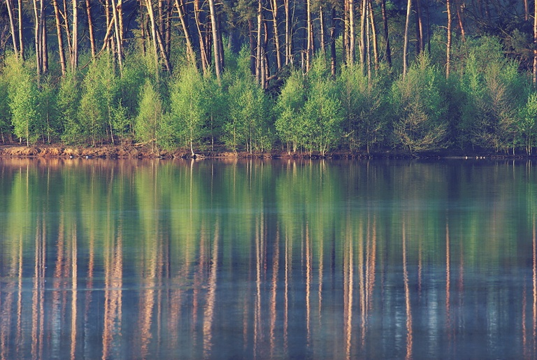 Haubachsee im Frühling