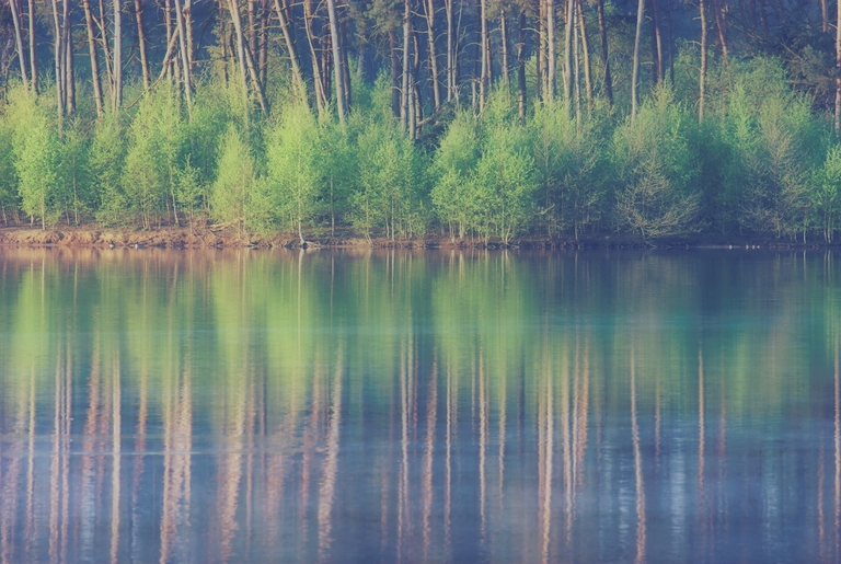 Haubachsee im Frühling (Orton)