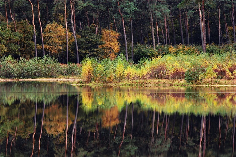 Haubachsee im Herbst
