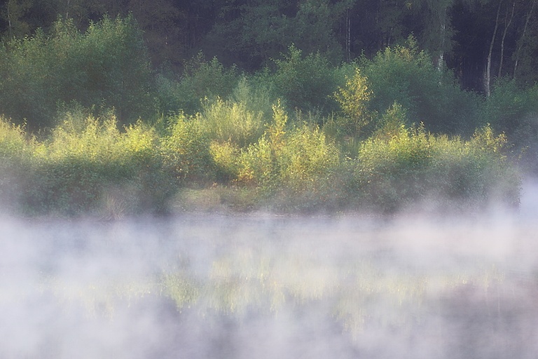 Morgennebel am Haubachsee (Orton)