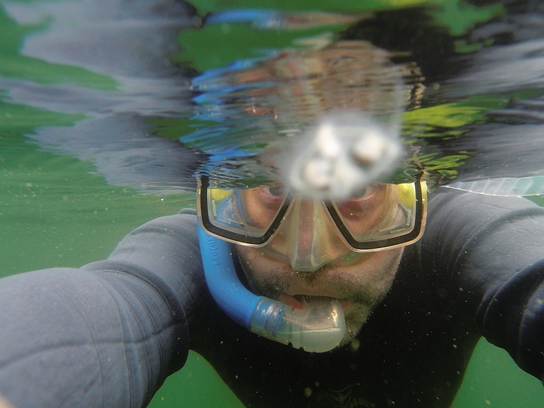 Selbstportrait mit Qualle