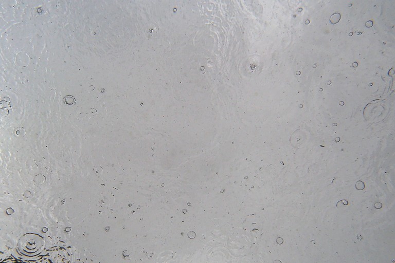 Regen aus der Fischperspektive (3)