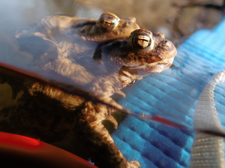 Was schief gehen kann...