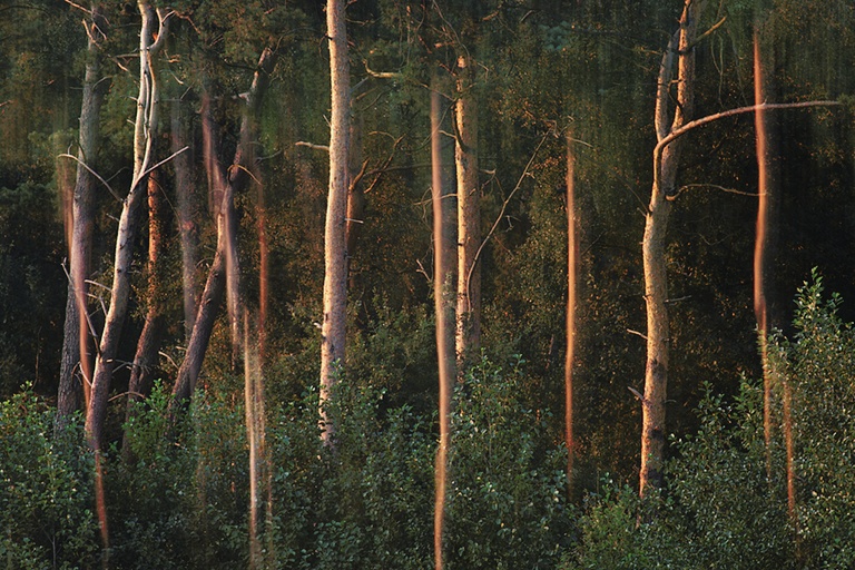 Haubachsee, Doppelbelichtung