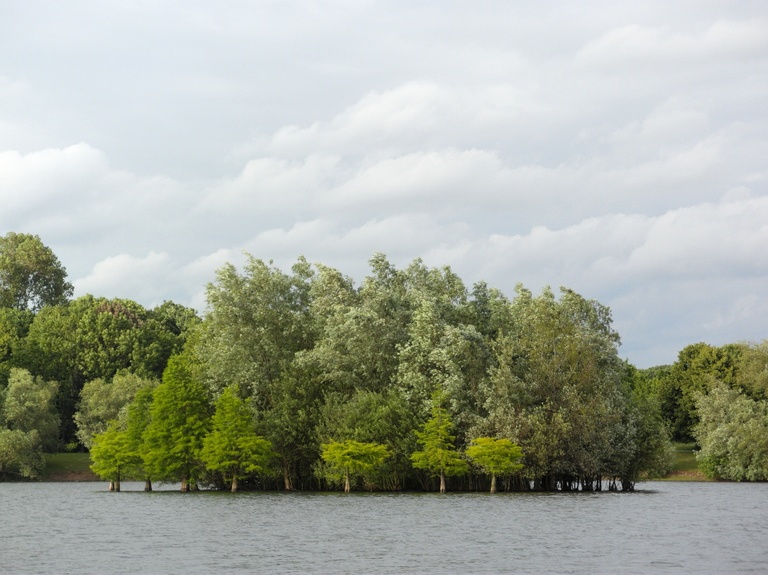 Insel im Töppersee